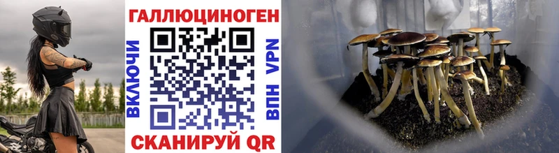 Псилоцибиновые грибы мицелий где найти наркотики Соль-Илецк